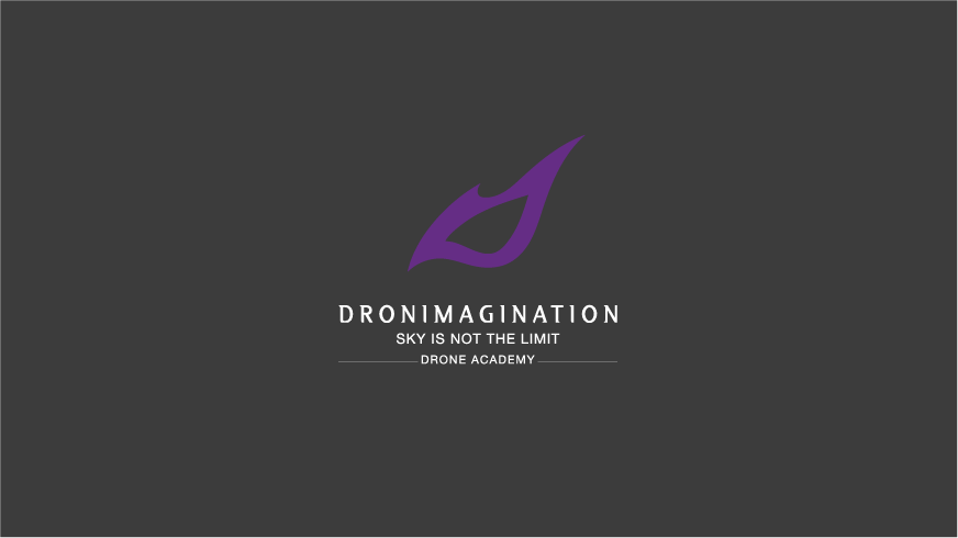 DRONIMAGINATION logo